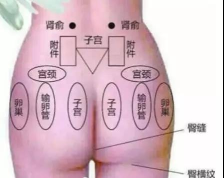 微信图片_20191015102034.jpg